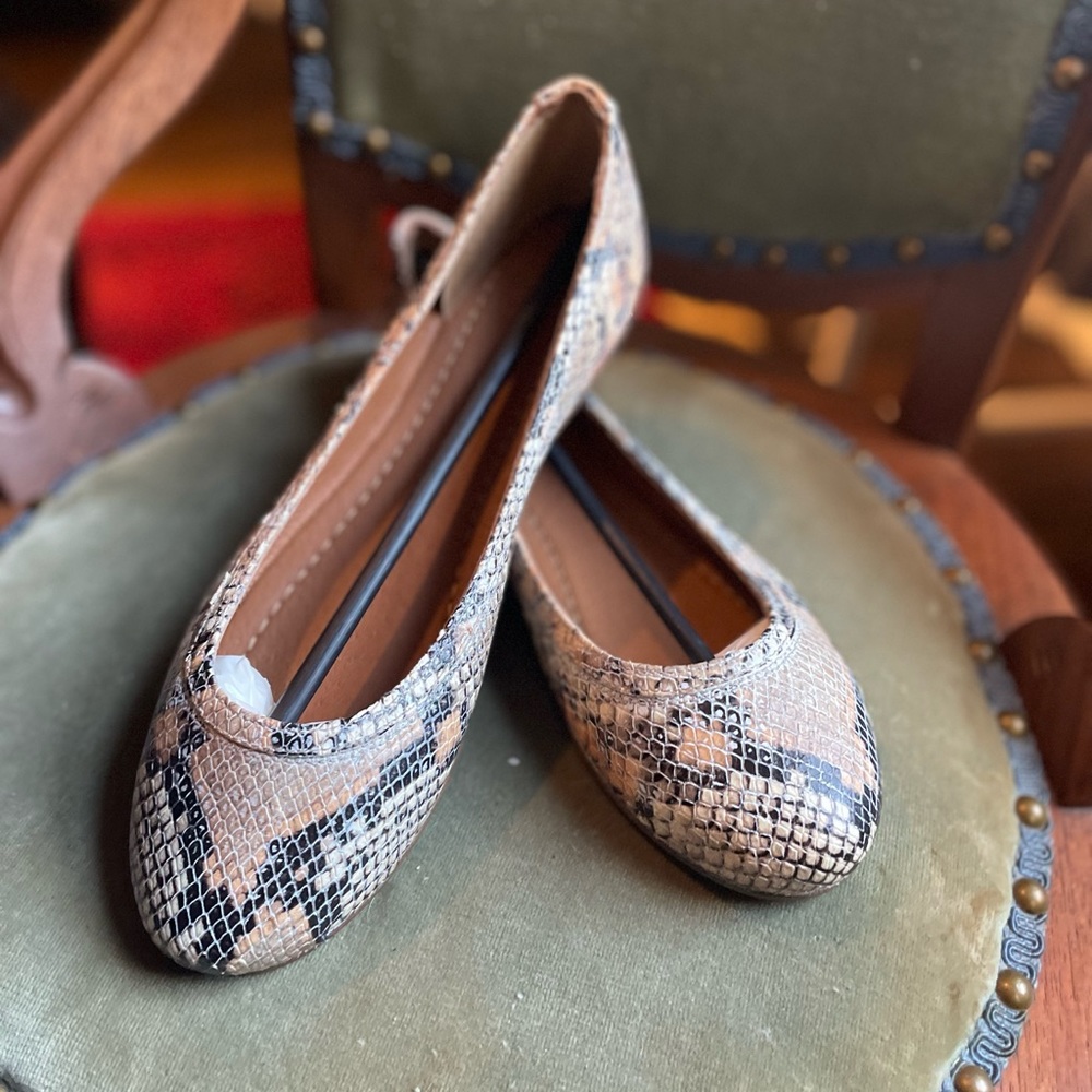 frye carson ballet flat - new in box